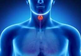 Симптомы заболевания щитовидной железы у мужчин