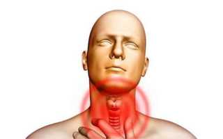 Связь между щитовидкой и температурой тела