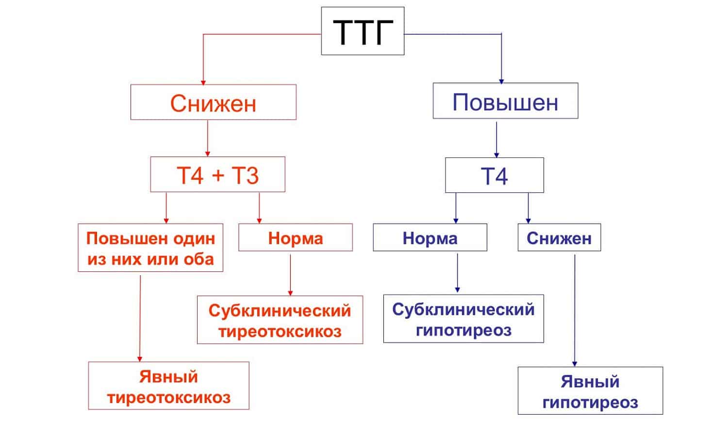 Ттг повышен это гипотиреоз. Норма гормонов ТТГ таблица. ТТГ гормон 4.60. Показатели гормонов т3 т4 при гипертиреозе. Повышение ТТГ при нормальных т3 и т4.