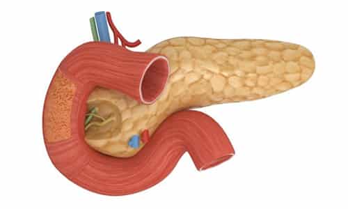 Повышение или понижение давления контролируется эндокринной системой, а щитовидка на этом уровне взаимодействует с поджелудочной железой